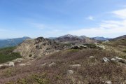 IMG_0043