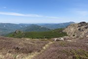IMG_0045