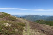 IMG_0047