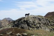 IMG_0057