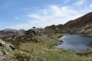 IMG_0058