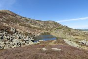 IMG_0068