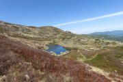 IMG_0071