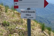 IMG_0076