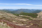 IMG_0081