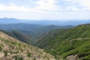 IMG_0088