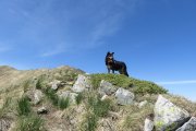IMG_0106