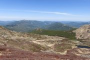 IMG_0115