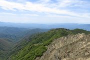 IMG_0116
