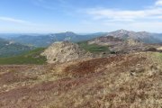 IMG_0153