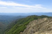 IMG_0175