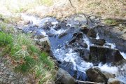 IMG_0211