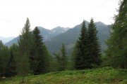 IMG_0146