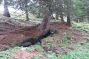 IMG_0148