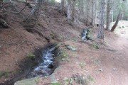 IMG_0150