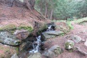 IMG_0152