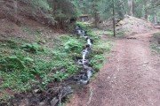 IMG_0154