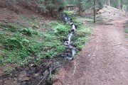 IMG_0156