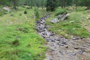 IMG_0159