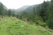IMG_0161
