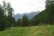 IMG_0163