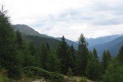 IMG_0168