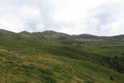 IMG_0174