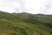 IMG_0175