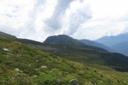 IMG_0194