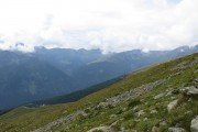 IMG_0205