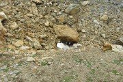 IMG_0211