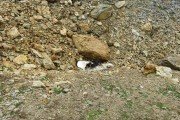 IMG_0215