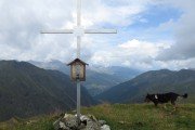IMG_0235