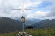 IMG_0236