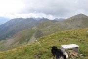 IMG_0240