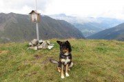 IMG_0311