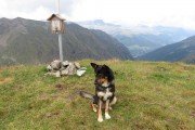 IMG_0312