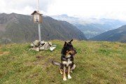 IMG_0313
