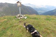 IMG_0316