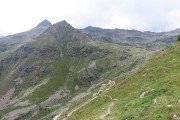 IMG_0342