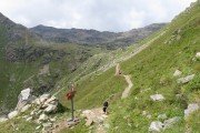 IMG_0348