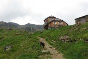 IMG_0351