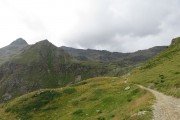 IMG_0353