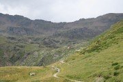 IMG_0355