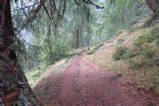 IMG_0359