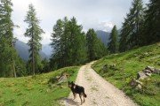 IMG_0362