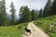 IMG_0363