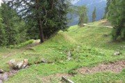IMG_0367