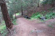 IMG_0369