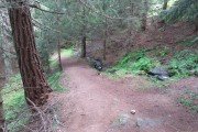 IMG_0375